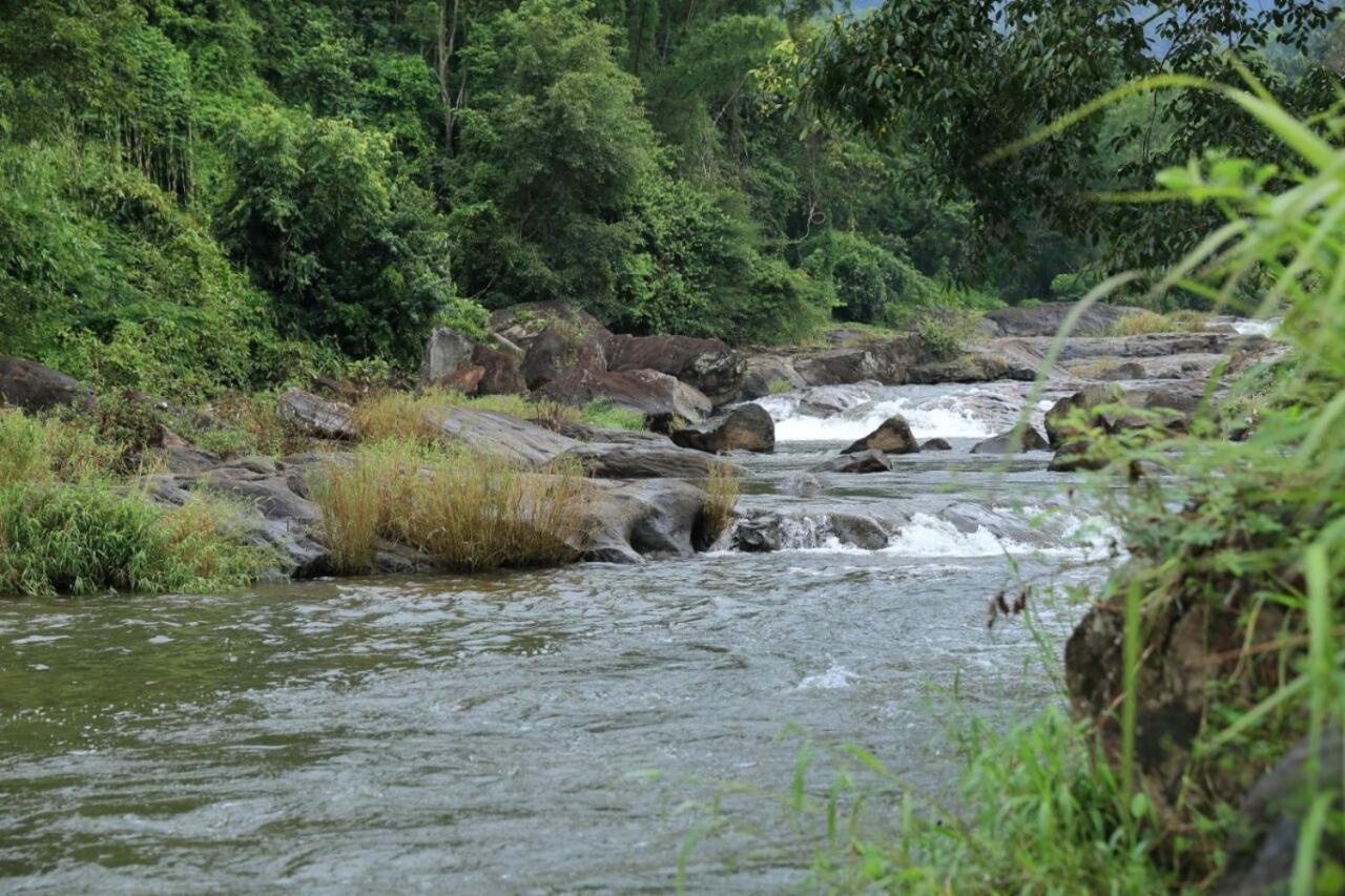 Ayursakthi Riverdale Munnar Εξωτερικό φωτογραφία