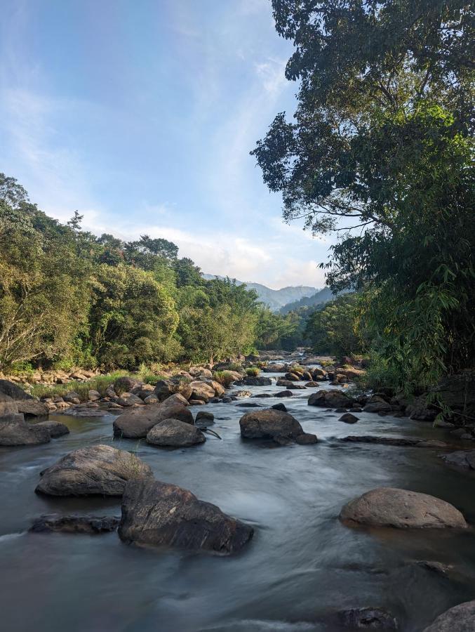 Ayursakthi Riverdale Munnar Εξωτερικό φωτογραφία