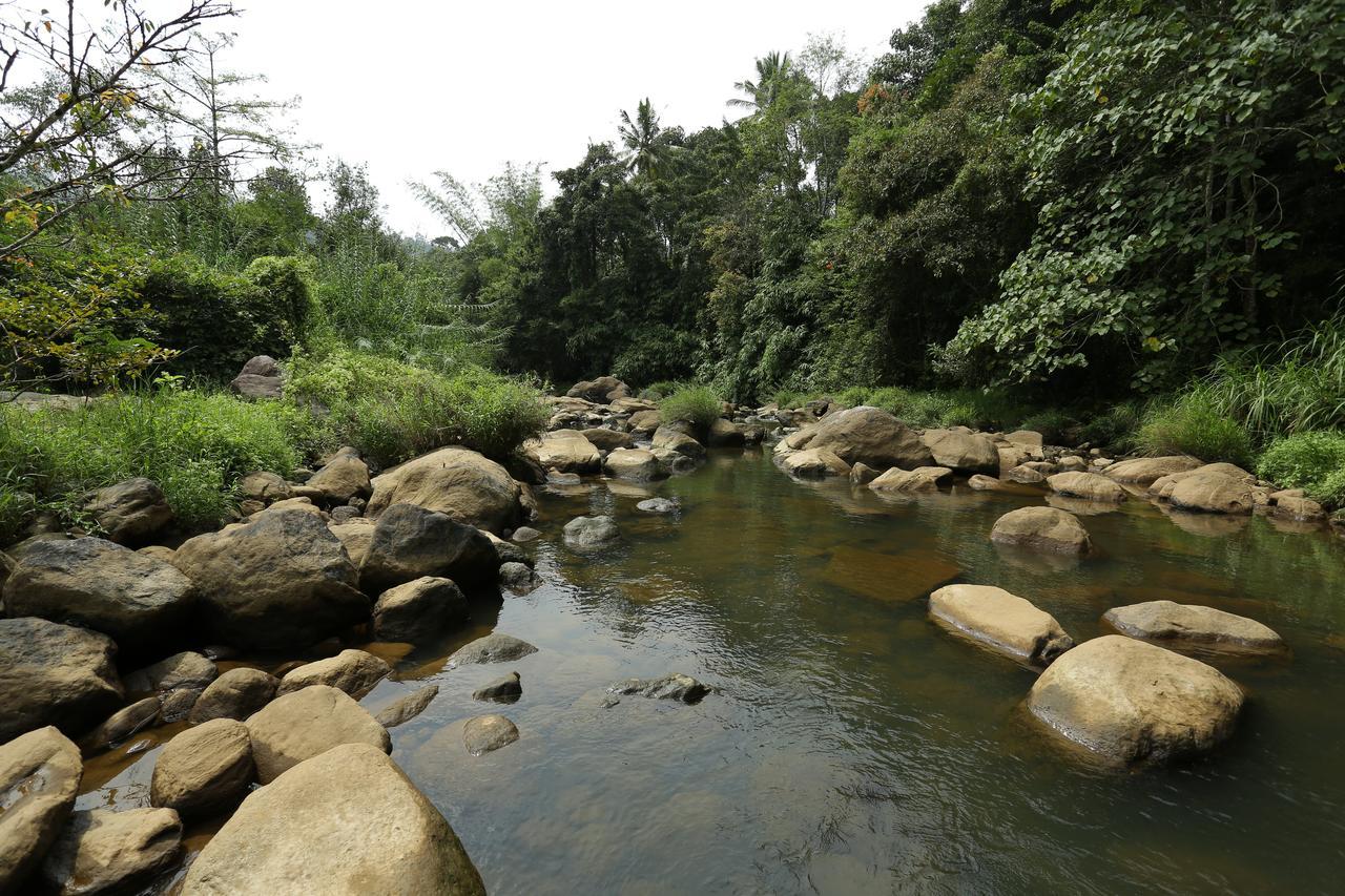 Ayursakthi Riverdale Munnar Εξωτερικό φωτογραφία