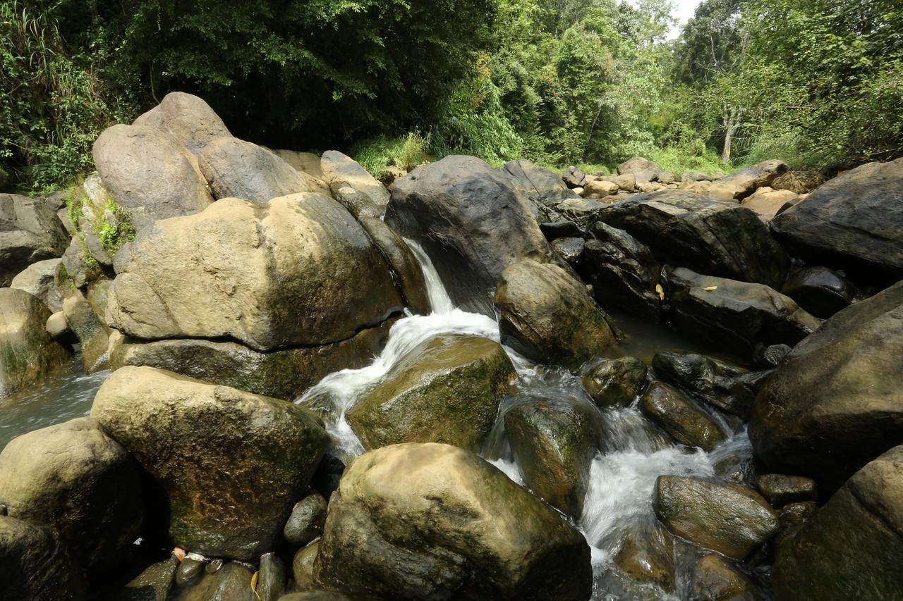 Ayursakthi Riverdale Munnar Εξωτερικό φωτογραφία